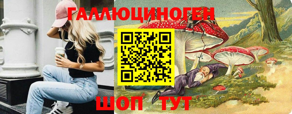 Псилоцибиновые грибы Psilocybe Псков